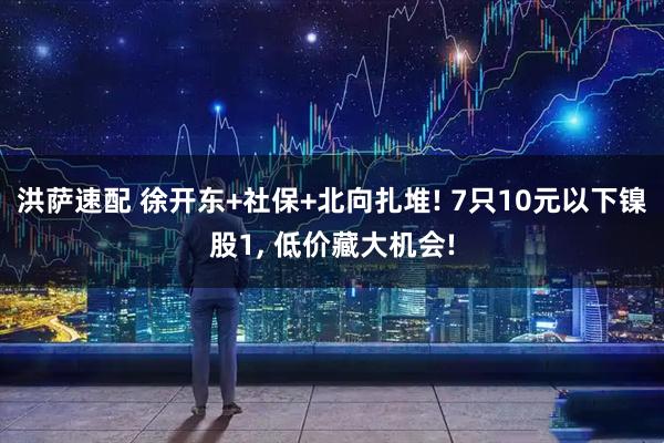 洪萨速配 徐开东+社保+北向扎堆! 7只10元以下镍股1, 低价藏大机会!