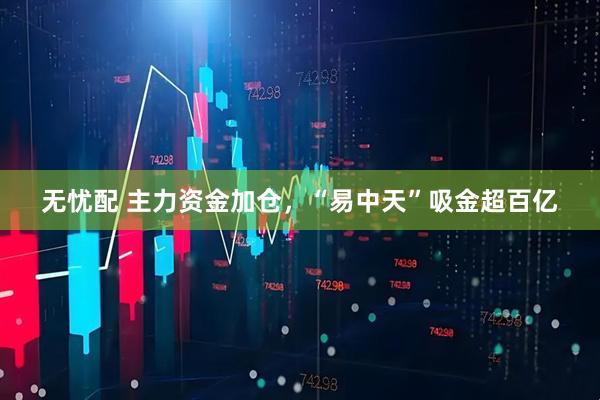 无忧配 主力资金加仓，“易中天”吸金超百亿