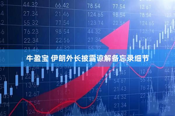 牛盈宝 伊朗外长披露谅解备忘录细节