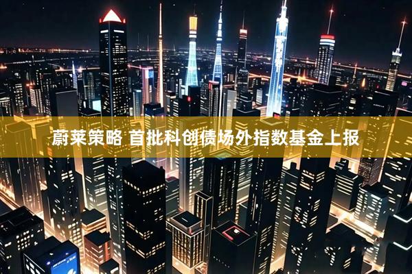 蔚莱策略 首批科创债场外指数基金上报